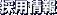 �̗p���